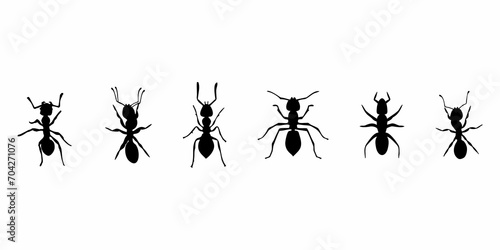silhouette of a black ant walking photo