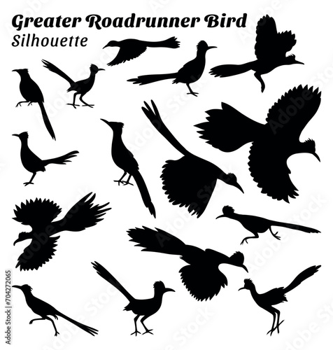 Greater roadrunner vector illustration silhouette set photo
