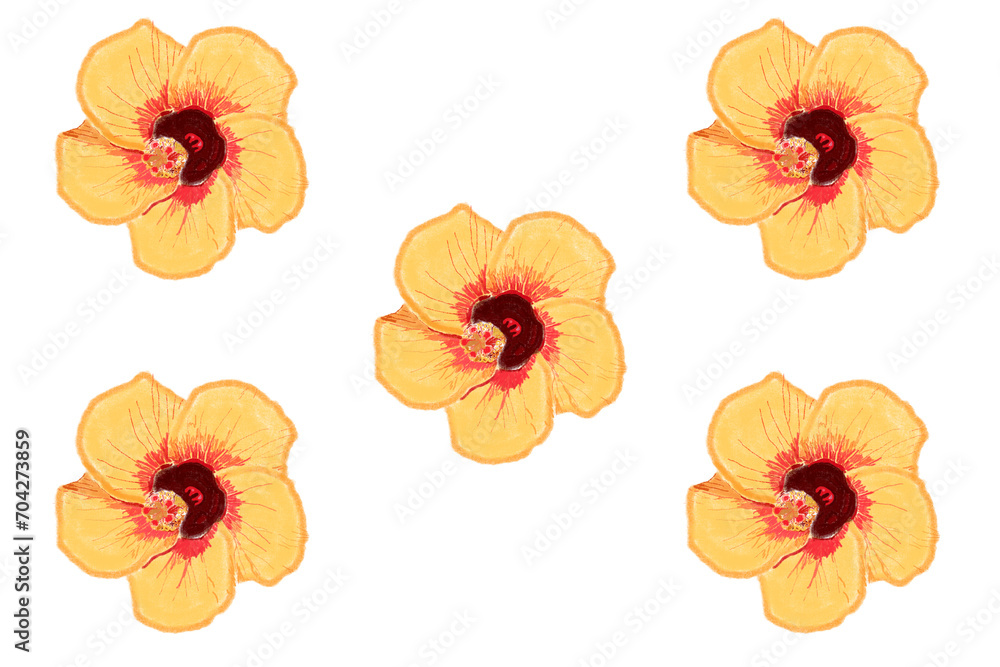 Chinese Hibiscus Peach Flower Pattern with Dry Brush Transparent Chinese Hibiscus Peach Flower Pattern with Dry Brush Transparent