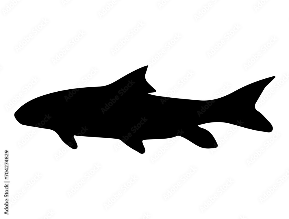 Silver Redhorse fish silhouette vector art white background Silver Redhorse fish silhouette vector art white background