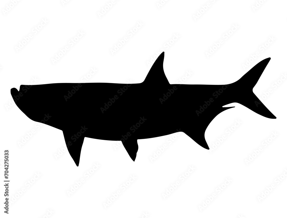 Tarpon Fish silhouette vector art white background Tarpon Fish silhouette vector art white background