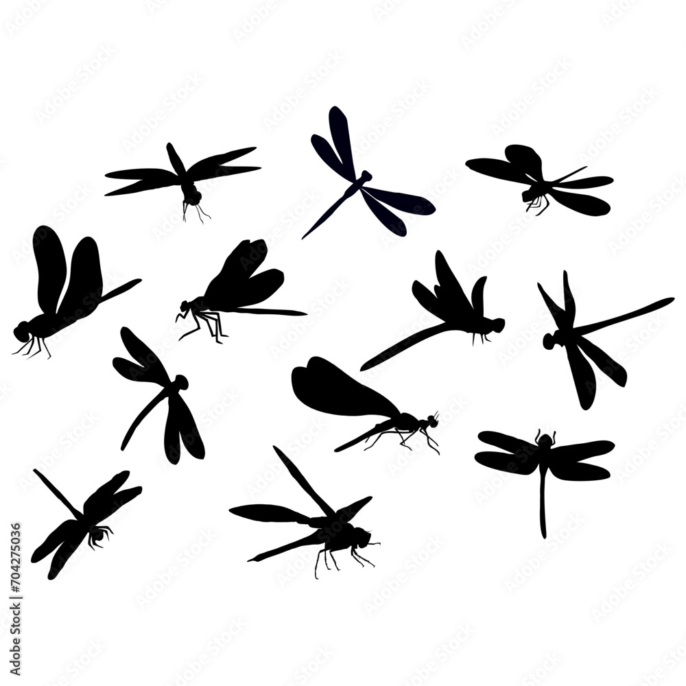 Fototapeta premium black dragonfly or insect silhouette
