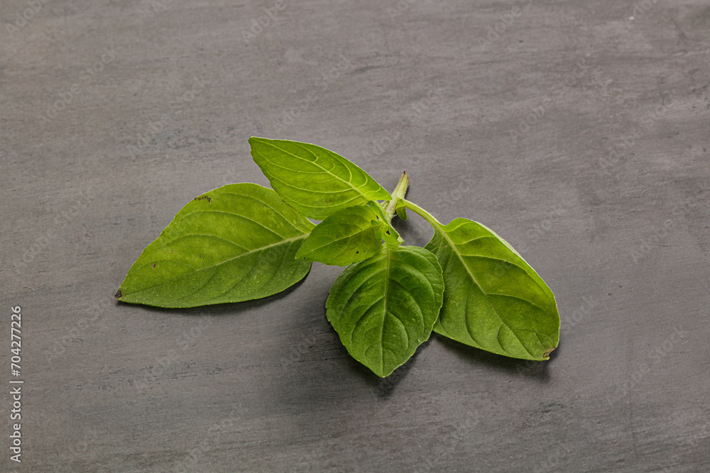 Raw green basil leaves seasoning Raw green basil leaves seasoning