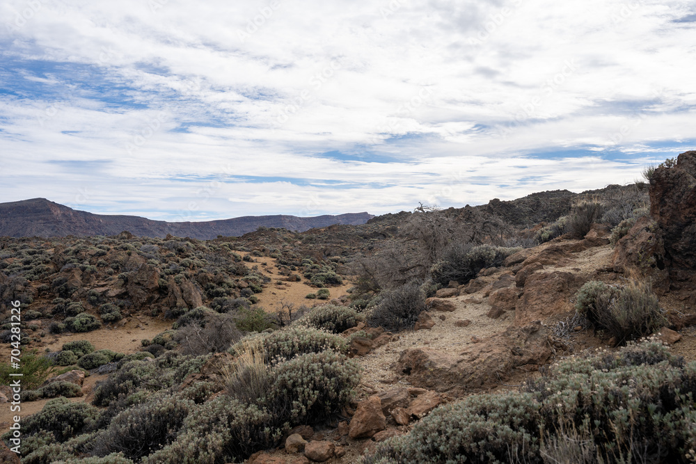 Landscape of Teide National Park, Tenerife, Canary Islands, Spain