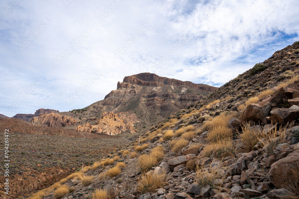 Landscape of Teide National Park, Tenerife, Canary Islands, Spain Landscape of Teide National Park, Tenerife, Canary Islands, Spain