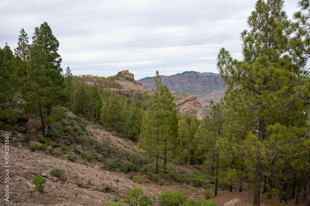 Obraz premium Landscape view from Roque Nublo volcanic rock on the island of Gran Canaria, Spain