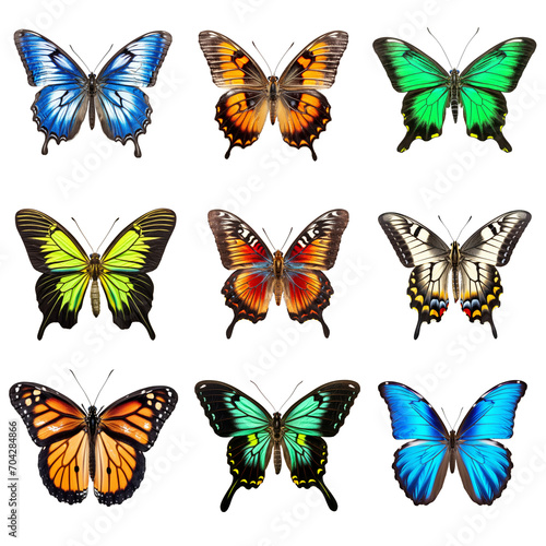 A set of different types of butterflies  isolated on a transparent background