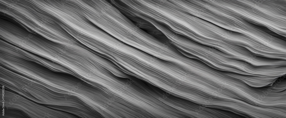 Black white rock texture. Mountain surface. Close-up. Gray stone background with copy space for design. Wide banner. Black white rock texture. Mountain surface. Close-up. Gray stone background with copy space for design. Wide banner.