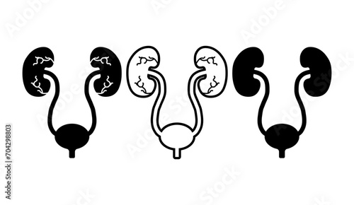 Set of Urology health human icon, anatomy medical body bladder sign, biology vector illustration