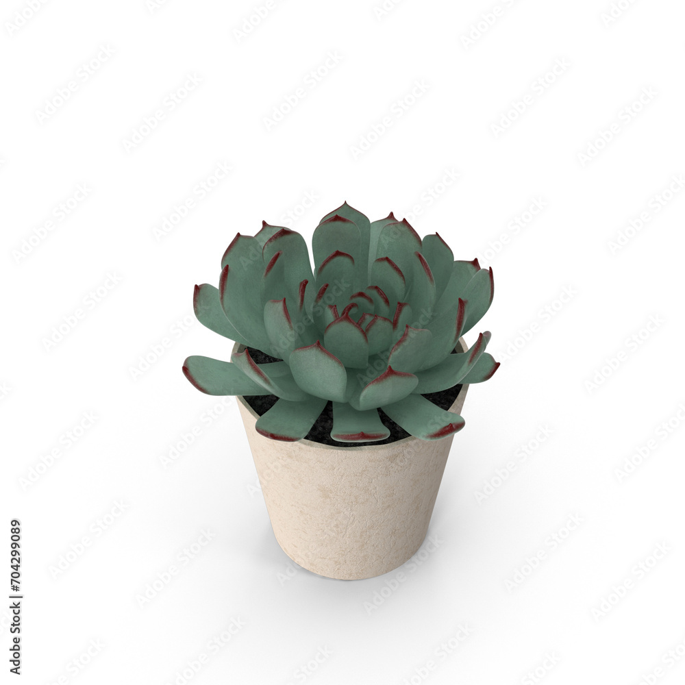 cactus in flowerpot 3D Plant