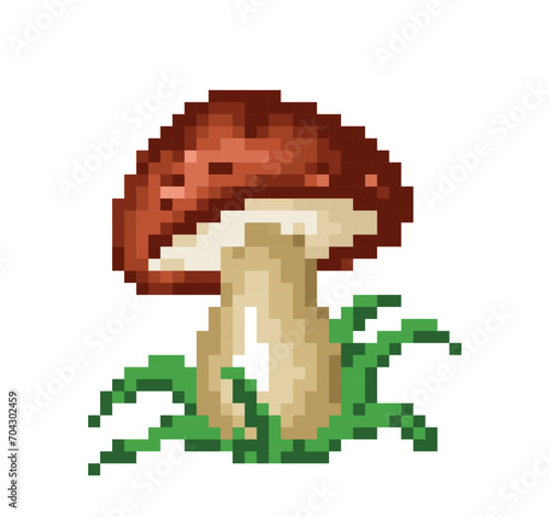 A forest mushroom with green grass.