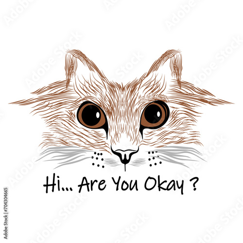 cute cat saying hi are you okey