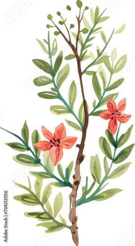 tree with red flowers water color paint png files alpha