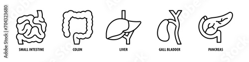 Pancreas, Gall bladder, Liver, Colon, Small intestine editable stroke outline icons set isolated on white background flat vector illustration. photo