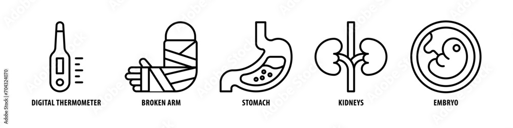 Embryo, Kidneys, Stomach, Broken Arm, Digital Thermometer editable stroke outline icons set isolated on white background flat vector illustration. Embryo, Kidneys, Stomach, Broken Arm, Digital Thermometer editable stroke outline icons set isolated on white background flat vector illustration.
