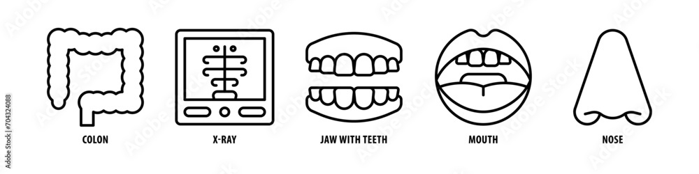 Nose, Mouth, Jaw With Teeth, X-Ray, Colon editable stroke outline icons set isolated on white background flat vector illustration. Nose, Mouth, Jaw With Teeth, X-Ray, Colon editable stroke outline icons set isolated on white background flat vector illustration.