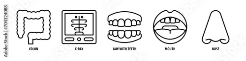 Nose, Mouth, Jaw With Teeth, X-Ray, Colon editable stroke outline icons set isolated on white background flat vector illustration.