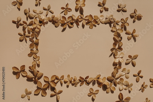 Square frame with blank mockup copy space made of dried star flowers on neutral beige background
