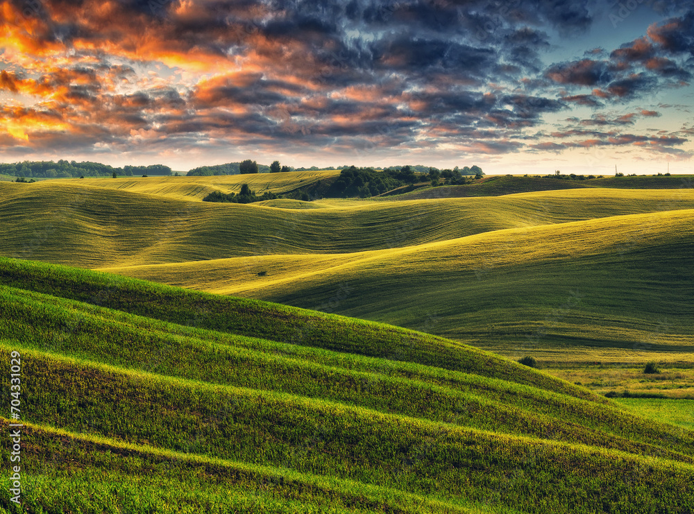Fototapeta premium A picturesque hilly field. Storm clouds over a wheat field. Spring village landscape