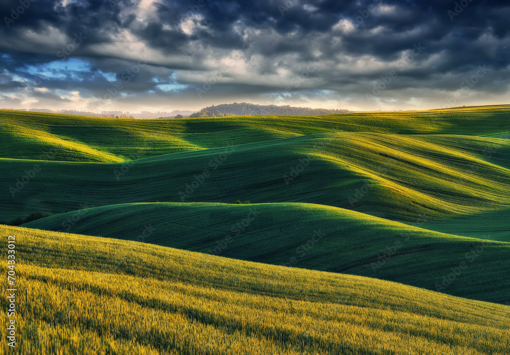 Obraz premium A picturesque hilly field. Storm clouds over a wheat field. Spring village landscape