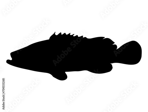 Tilapia Fish silhouette vector art white background