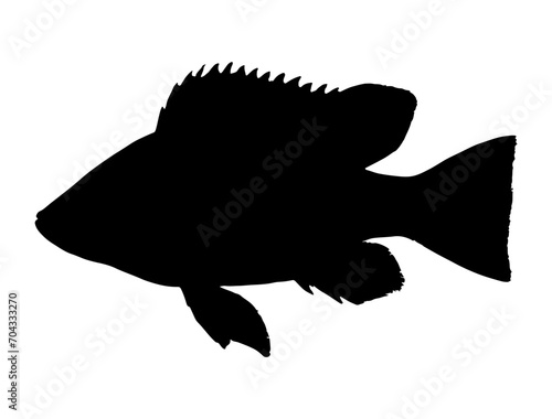 Tilapia Fish silhouette vector art white background