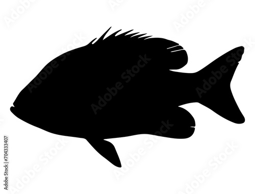 Tilapia Fish silhouette vector art white background