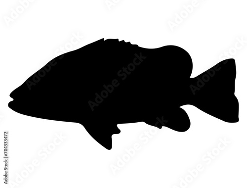 Tilapia Fish silhouette vector art white background