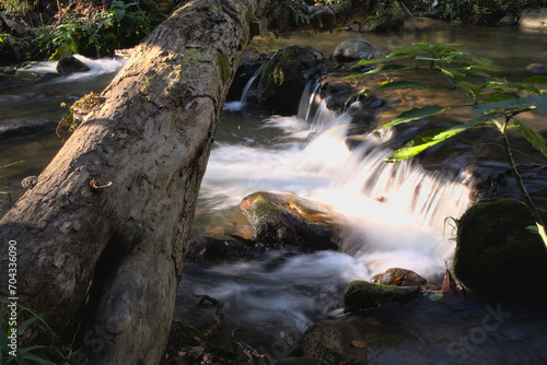 Stream and waterfall at Pang Hai Chiang Mai Thailand Long Exposure photography shot, Motion Blurred