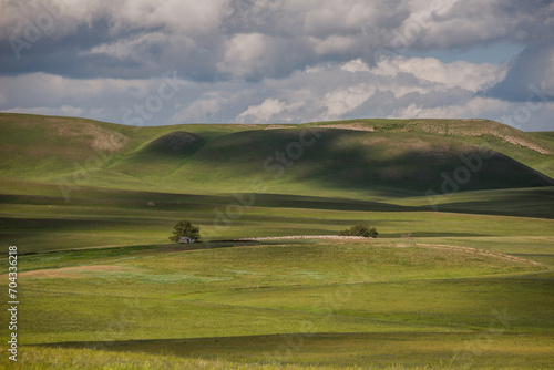 green hills with clouds in the sky, lonely trees