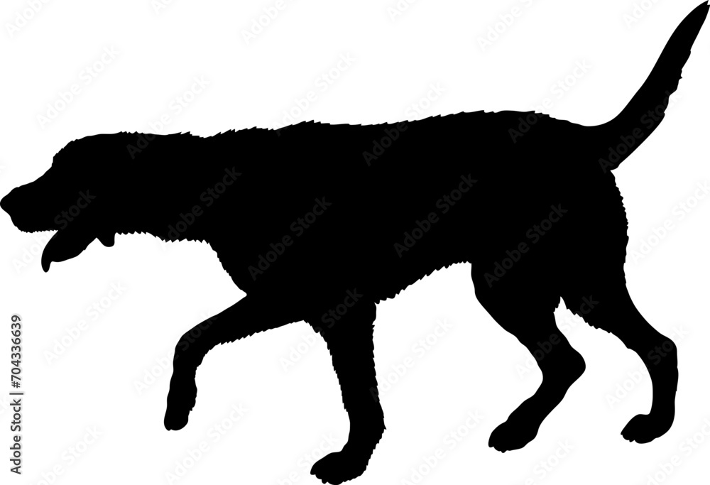 English Foxhound Dog silhouette breeds dog breeds dog monogram logo dog face vector