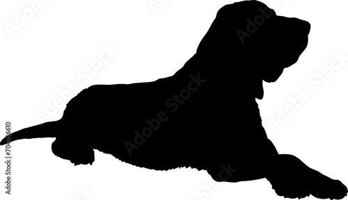 Bloodhound Dog silhouette breeds dog breeds dog monogram logo dog face vector