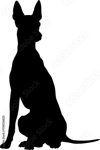 Cirneco dell'Etna Dog silhouette breeds dog breeds dog monogram logo dog face vector photo