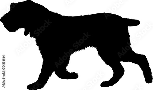 Spinone Italiano Dog silhouette breeds dog breeds dog monogram logo dog face vector photo
