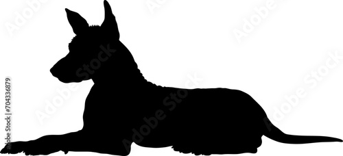 Xoloitzcuintli Dog silhouette breeds dog breeds dog monogram logo dog face vector