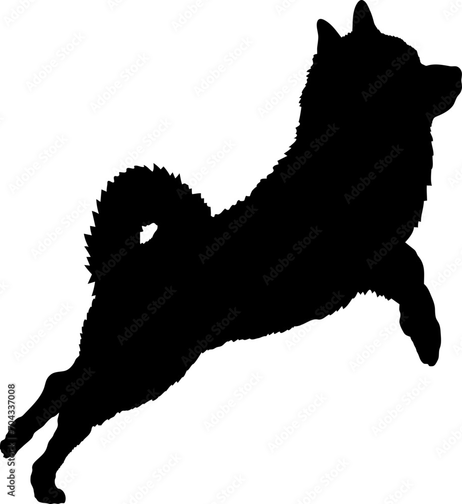 Schipperke. Dog silhouette breeds dog breeds dog monogram logo dog face vector Schipperke. Dog silhouette breeds dog breeds dog monogram logo dog face vector
