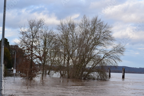 Rhine flood  photo