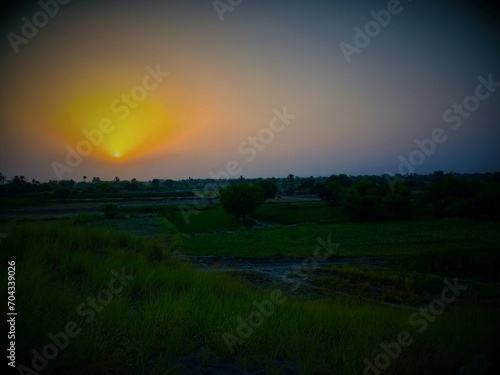 sunset over the field