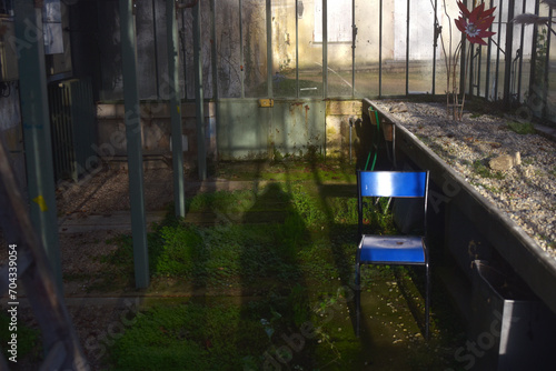 Foto Serre abandonnée