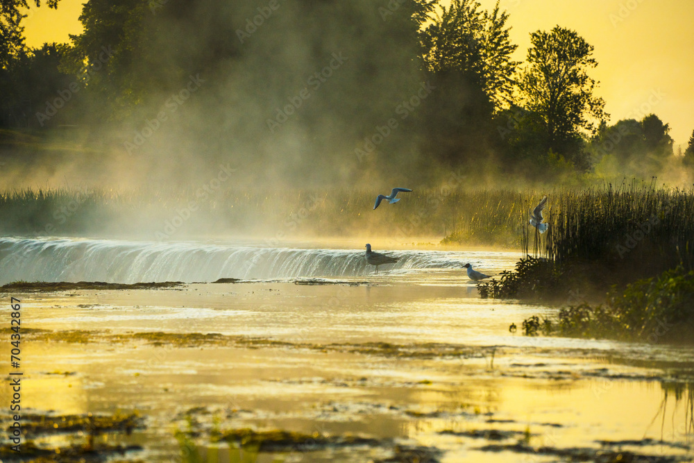 Fototapeta premium Waterfall in the river Venta. Venta hub with the birds