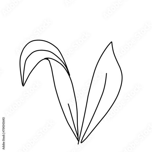 garis besar bunga tulip. Seni garis bunga tulip. Set cabang tulip yang digambar dengan tangan. Bunga Tulip diisolasi dengan latar belakang putih. ilustrasi vektor. sketsa bunga tulp. Gambar tangan bun photo