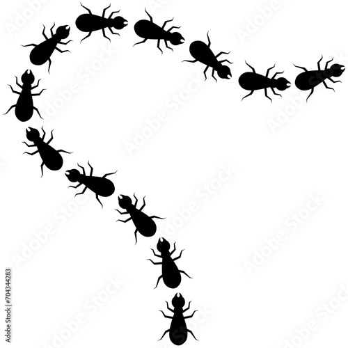 Vector silhouette of a walking termite colony. Travel path of a group of termites on a white background.