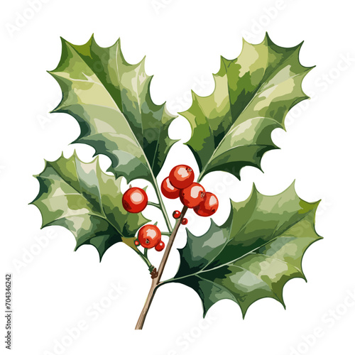 A branch with watercolor green leaves and red fruits. Illustrated on a white background. vector.