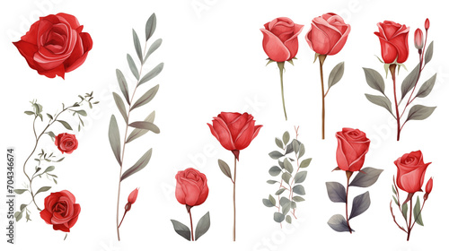 Watercolor elements red roses, and flowers on a white background