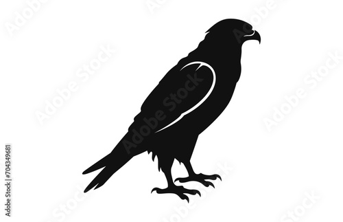 A Hawk Bird Black Silhouette Vector isolated on a white background