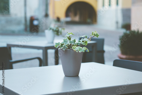 Vaso su tavolino all'aperto di un ristorante