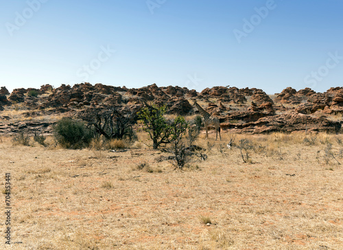 Landscape of Mapungubwe national park