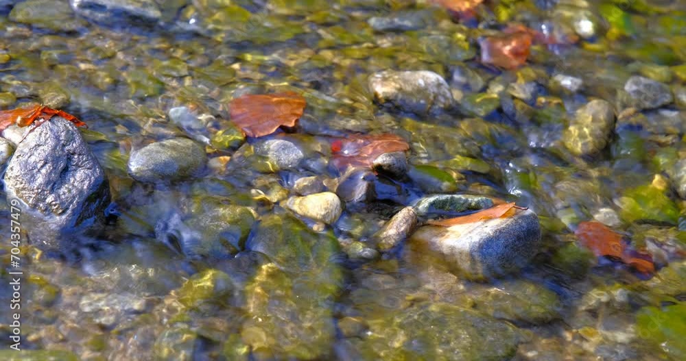 a small river flows among stones and leaves a small river flows among stones and leaves