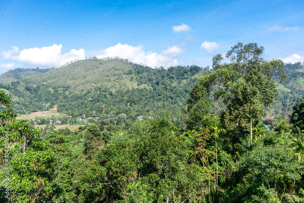 Naklejka premium Rainforest near the city of Ella in Sri Lanka. Top view, aerial photography.
