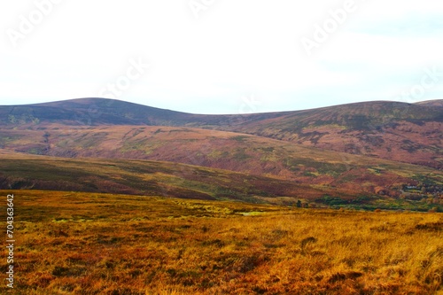 Hilly landscape, Wicklow Mountains, Ireland High quality photo